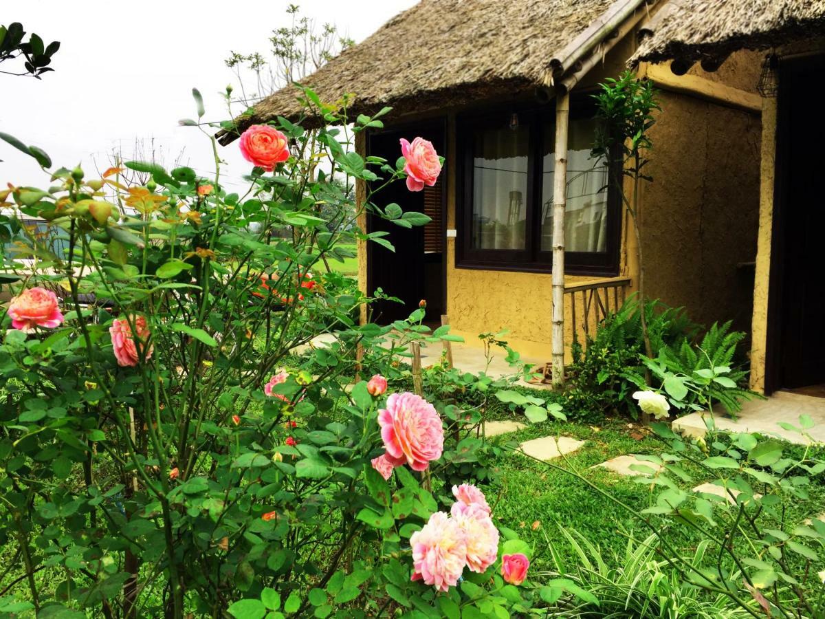 May Homestay - Tam Coc Local Village Ninh Binh Eksteriør billede